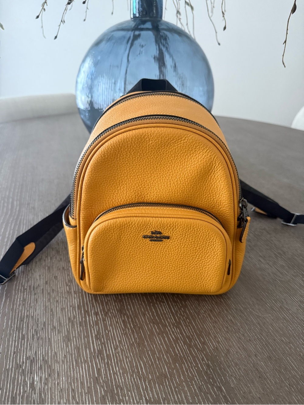 Coach Mini Backpack